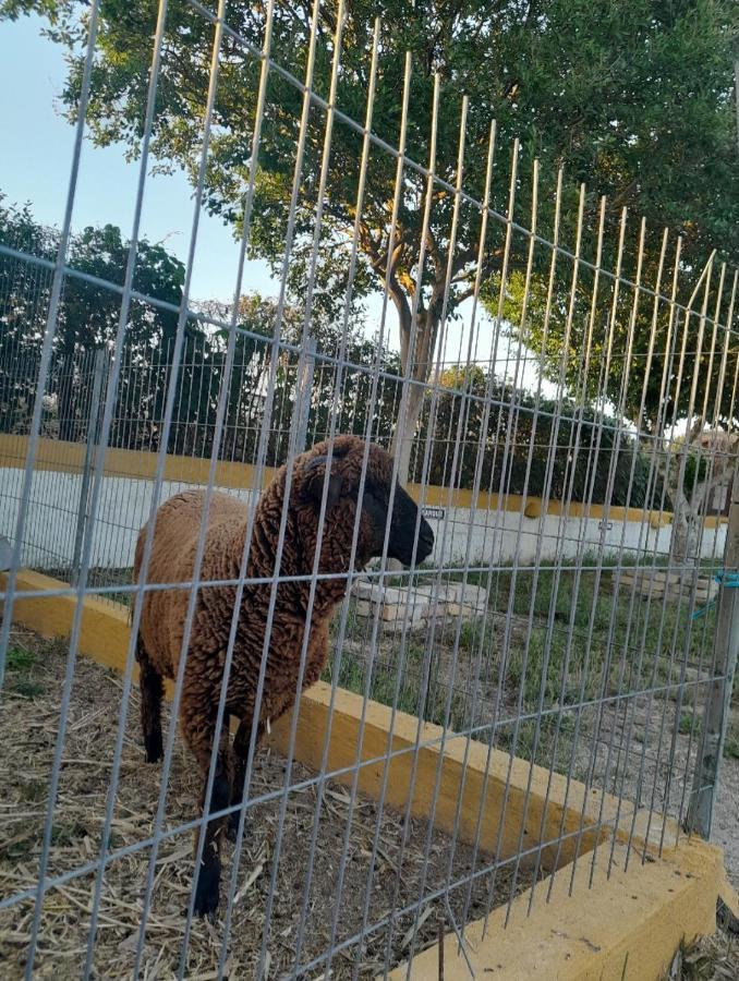 Pateo Das Laranjeiras Tomar Exterior foto